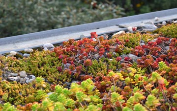 the cost of Leargybreck green roof installation