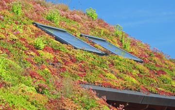 Leargybreck living roof systems